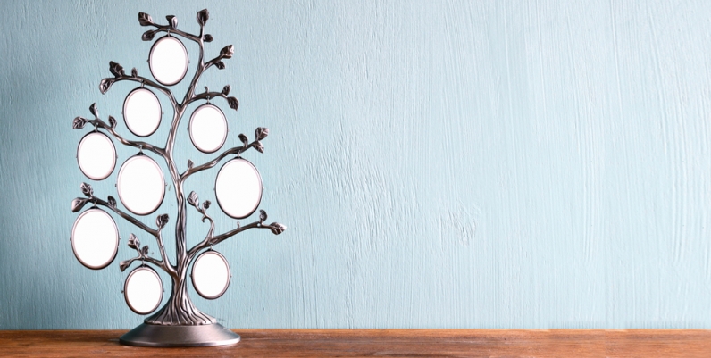 Genealogy Image of vintage antique classical frame of family tree on wooden table