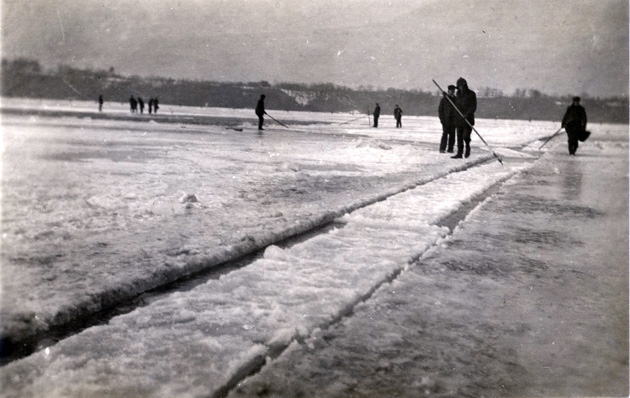 Ice harvesters cut out the first blocks as best they can to make an open space. With the removal of each block a longer channel opens. Horses are brought in and the big ice blocks are towed shoreward along these open channels. Ice harvesters cut out the first blocks as best they can to make an open space. With the removal of each block a longer channel opens. Horses are brought in and the big ice blocks are towed shoreward along these open channels.