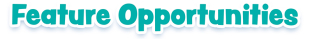 Feature Oppurtunities