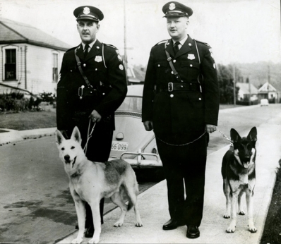 Police dogs Sandy and King