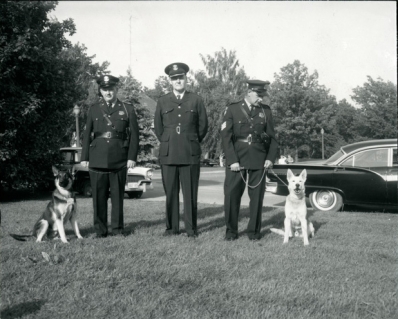 Police dogs Sandy and King join the force, 1960